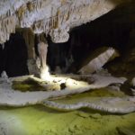 Grünfärbung im Wasser