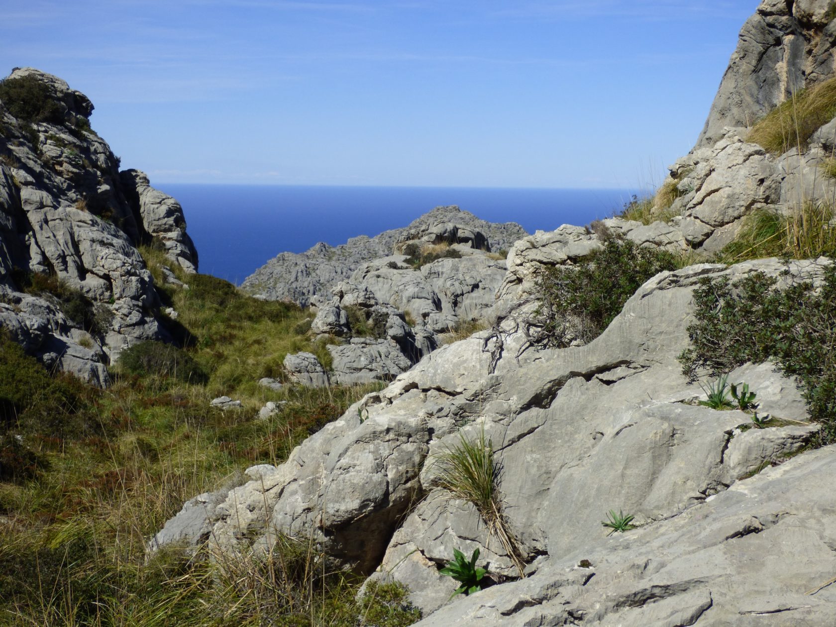 Torrent de Pareis