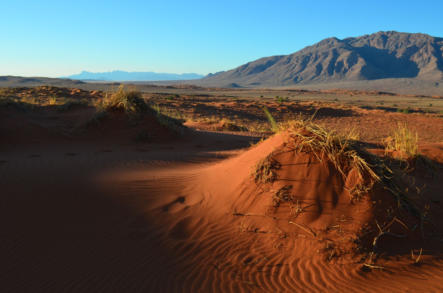 Rote Sanddünen